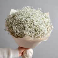 Монобукет из белой гипсофилы 0