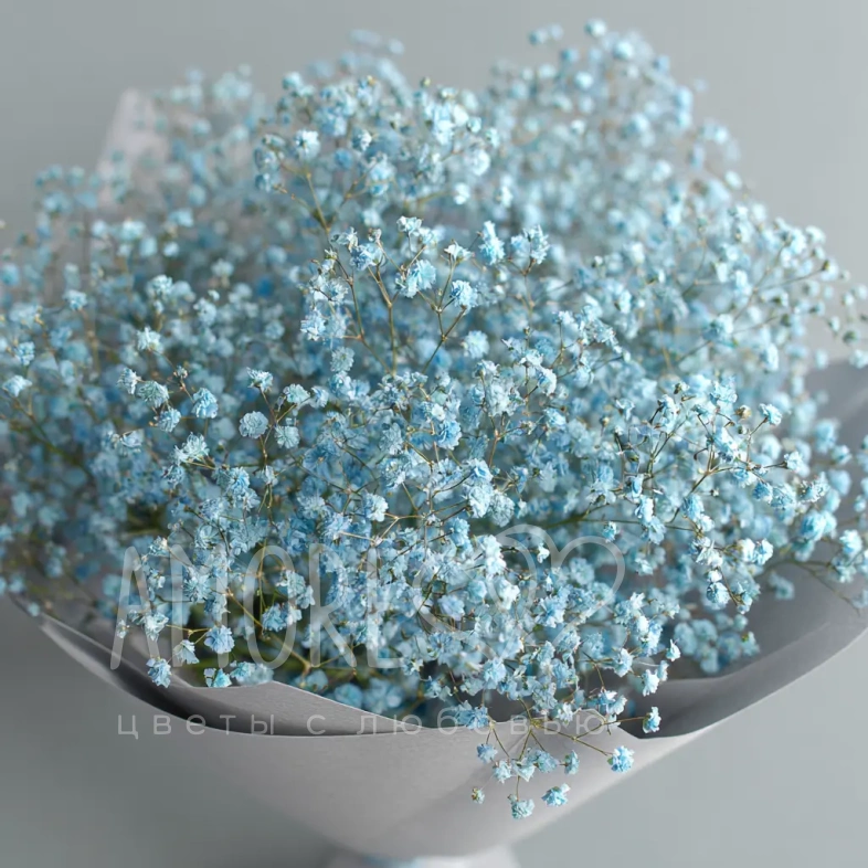 Монобукет из голубой гипсофилы
