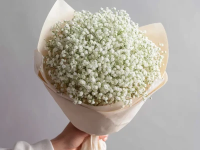 Монобукет из гипсофилы «Лёгкий штрих»