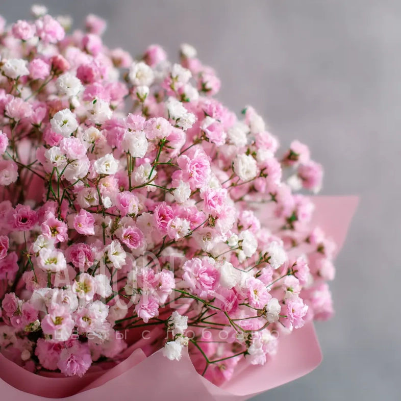 Монобукет из гипсофилы &laquo;Перламутровое облако&raquo;