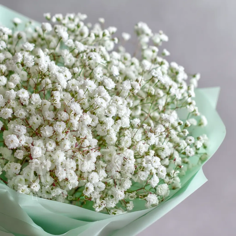 Монобукет из гипсофилы &laquo;Молочная вуаль&raquo;