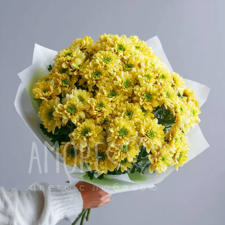 Монобукет из хризантем &laquo;Солнечное касание&raquo;