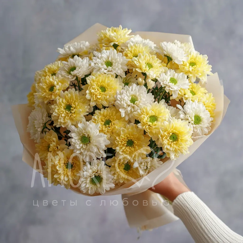 Монобукет из хризантем &laquo;Подарок сентября&raquo;