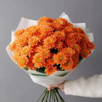 Монобукет из хризантем «Осенний привет»