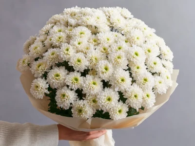 Монобукет из хризантем «Белое облако»