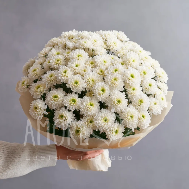 Монобукет из хризантем &laquo;Белое облако&raquo;