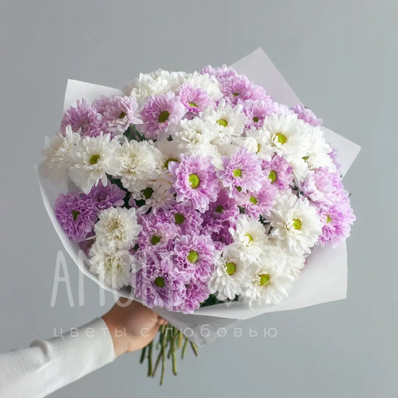 Монобукет из хризантем &laquo;Нежный комплимент&raquo;