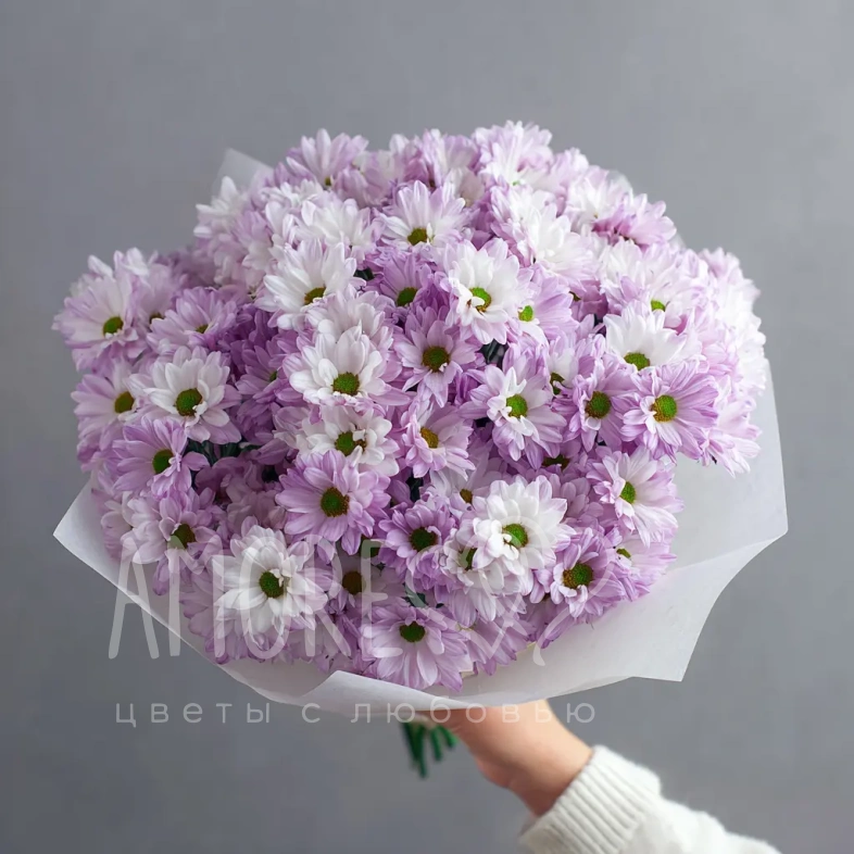 Монобукет из хризантем &laquo;Нежный комплимент&raquo;