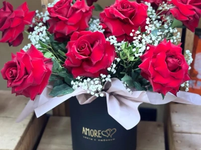 Композиция Аморе