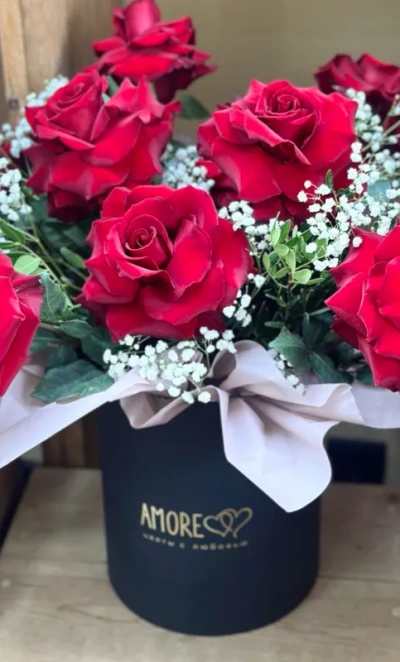 Композиция Аморе