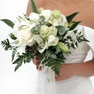 Белая Мечта 1