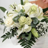 Белая Мечта 2