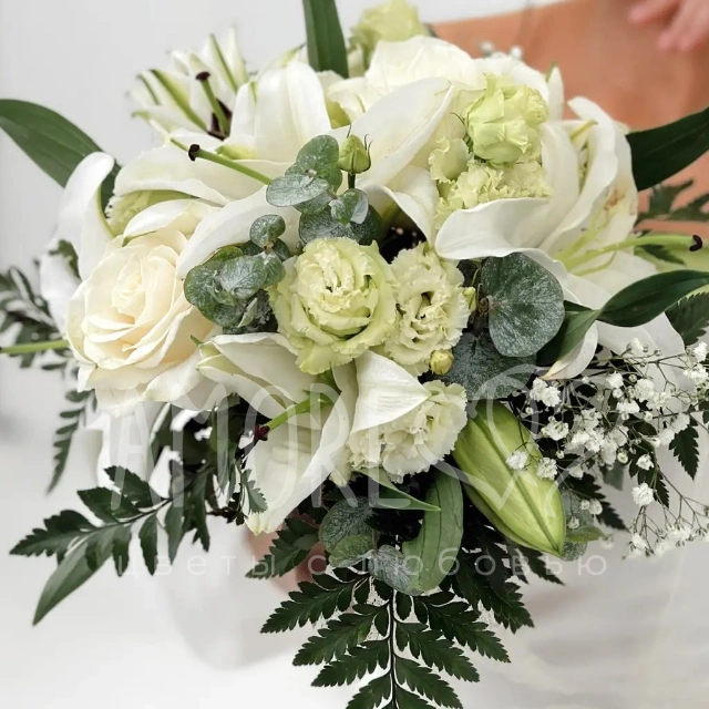 Белая Мечта